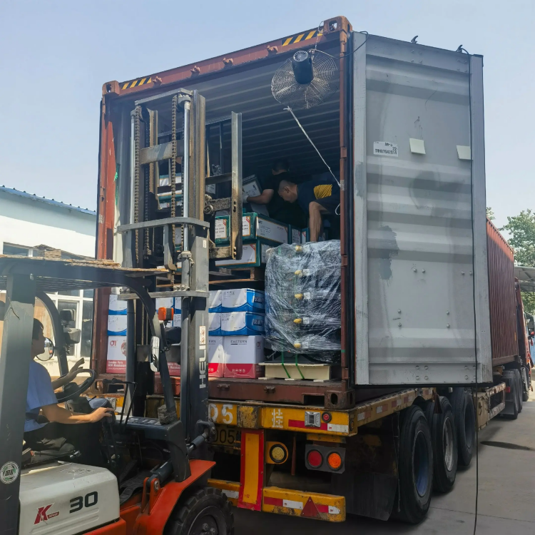 I-skiyond ye-skid yelori enzima-qhubela ngokulula, ithembele kuyo yonke indawo!